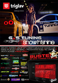 2011 flyer